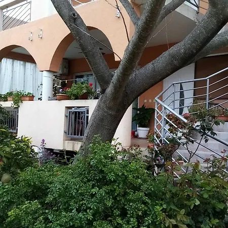 Vanja Kara Biograd