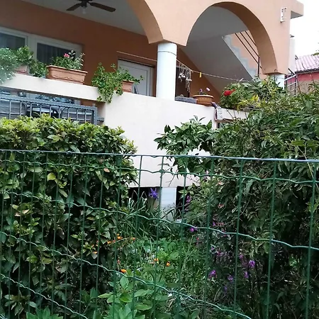 Vanja Kara Biograd *
