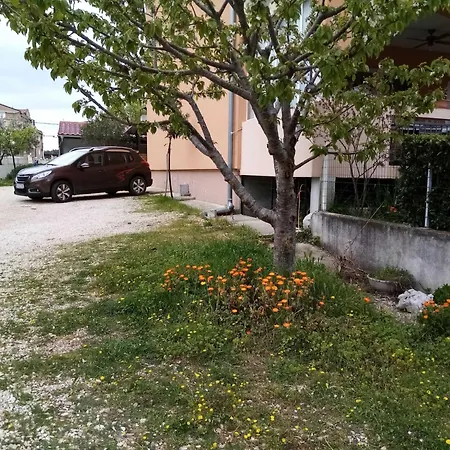 Vanja Kara Biograd Lejlighed