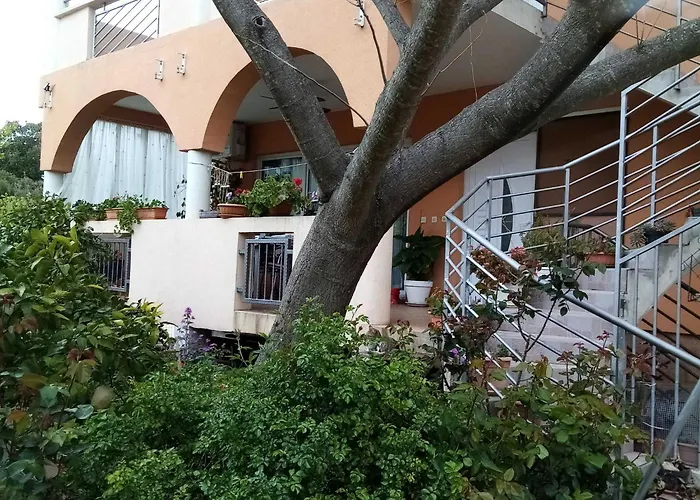 Vanja Kara Biograd