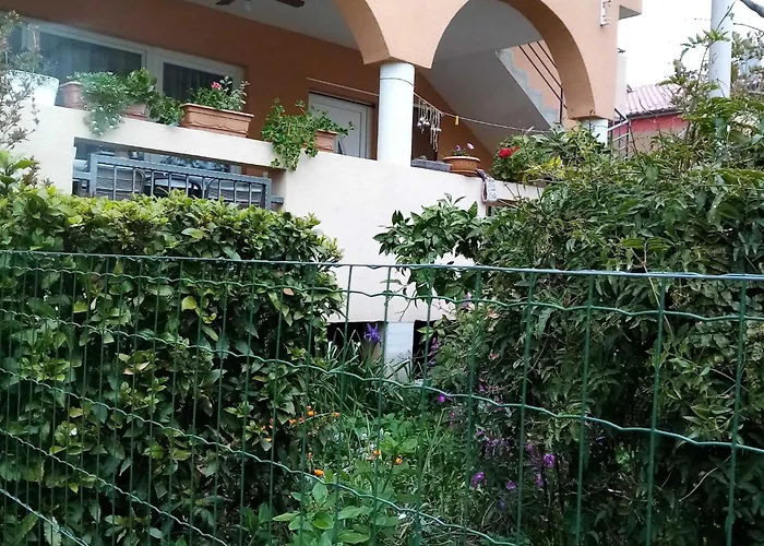 Vanja Kara Biograd *