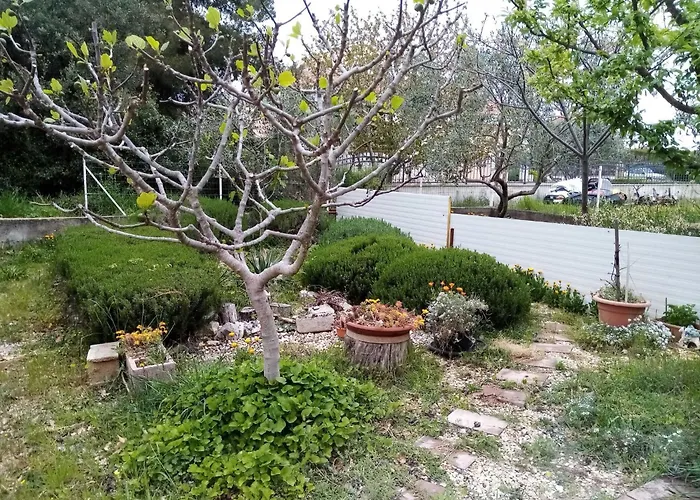Vanja Kara Biograd Appartement *