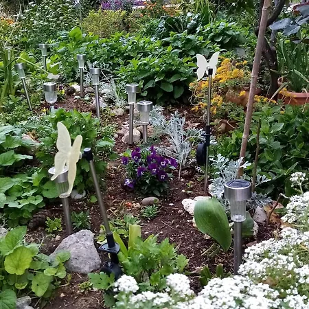 Vanja Kara Biograd Apartment *