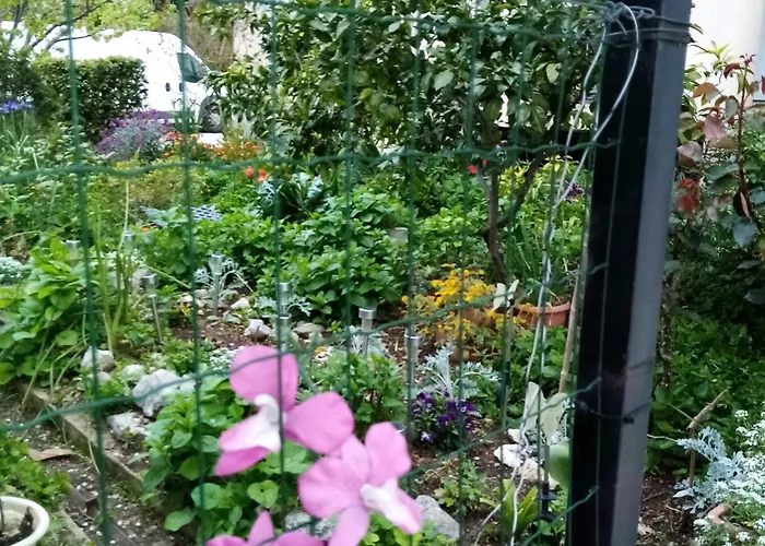 דירה Vanja Kara Biograd